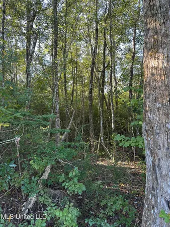 $191,000 | Lee Avenue, Hattiesburg, MS 39401
