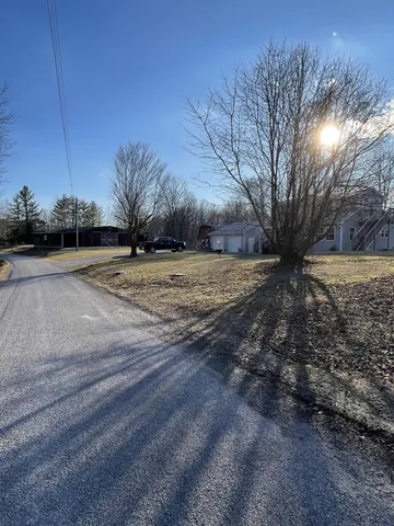 a view of a backyard with large trees