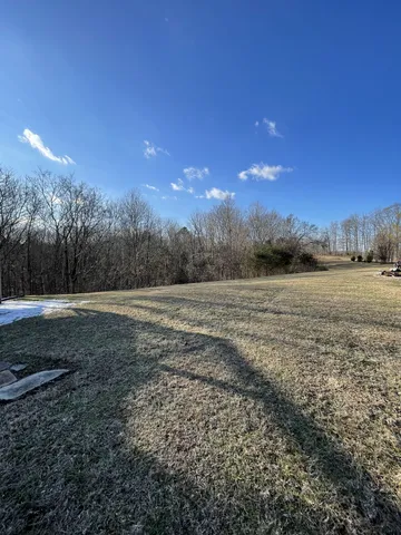 a view of a field with trees