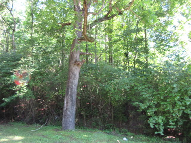 2527 Dutch Valley Road Clinton, TN 37716 - Photo 7 of 10 IMG_7308