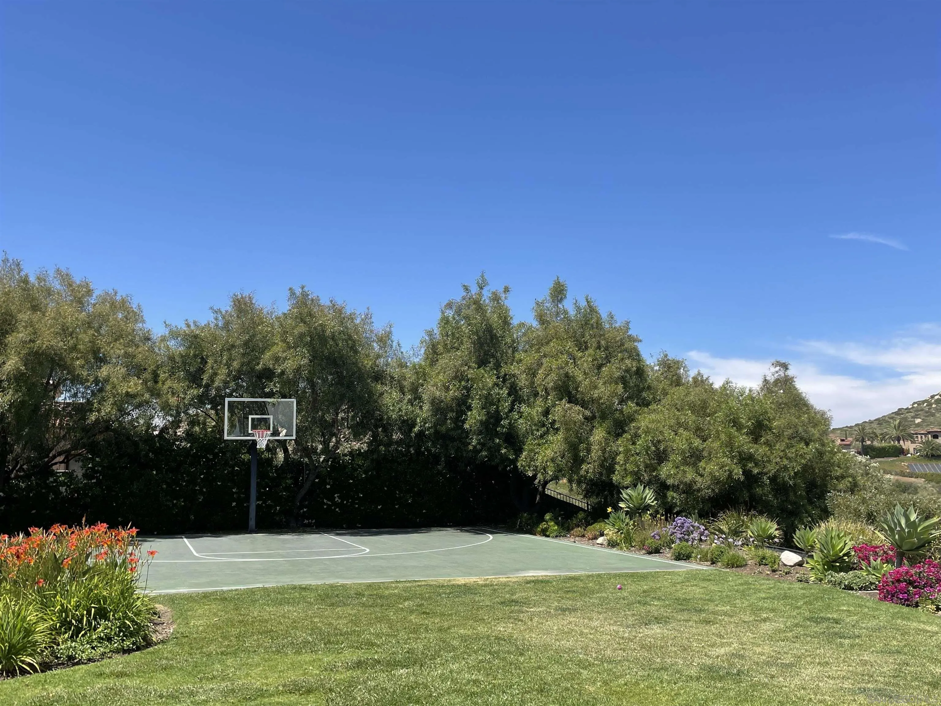 14155 Bryce Point Poway, CA 92064 - Photo 55 of 71 a view of a swimming pool with a yard