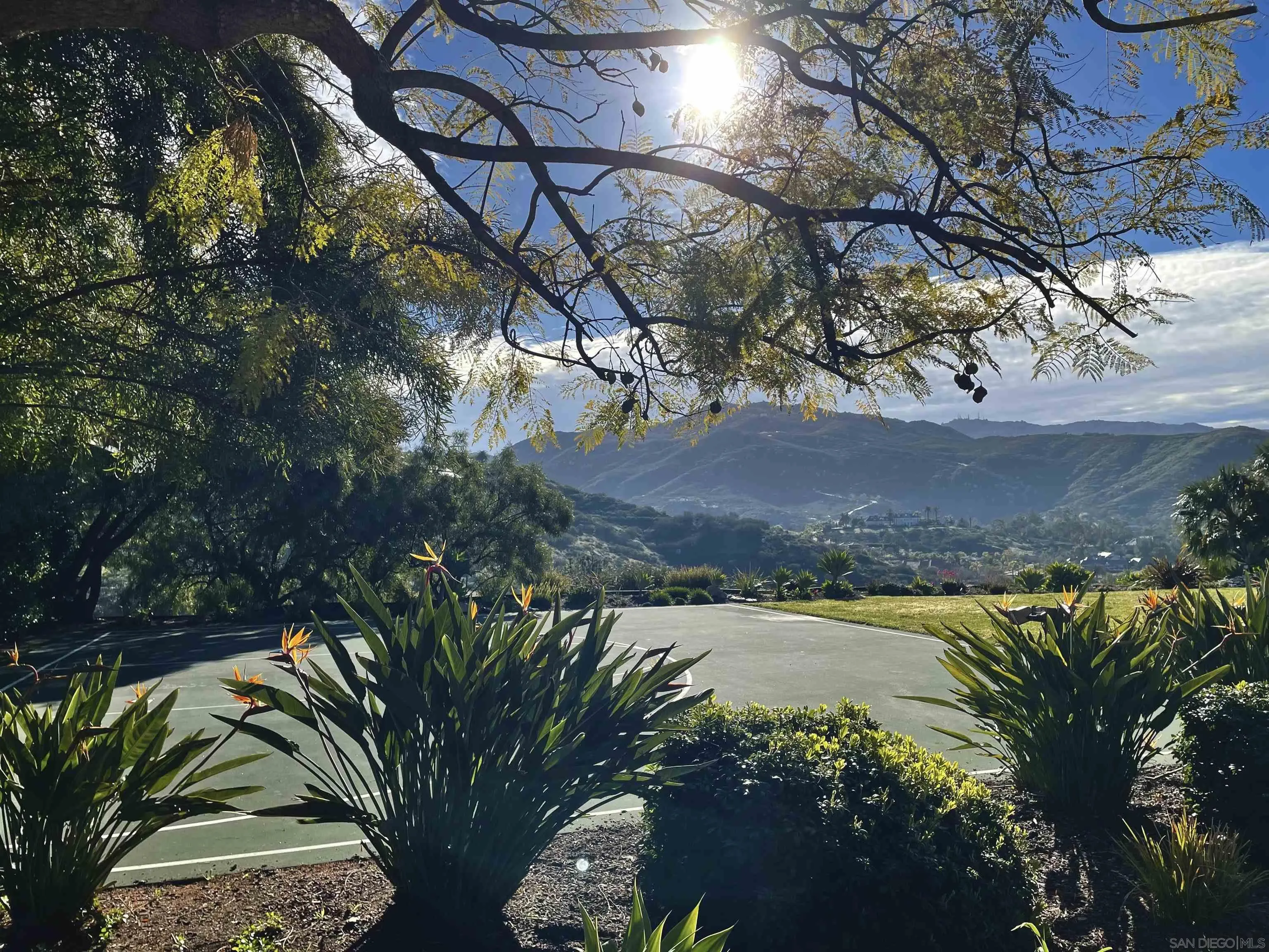 14155 Bryce Point Poway, CA 92064 - Photo 65 of 71 a view of a yard with plants and large trees