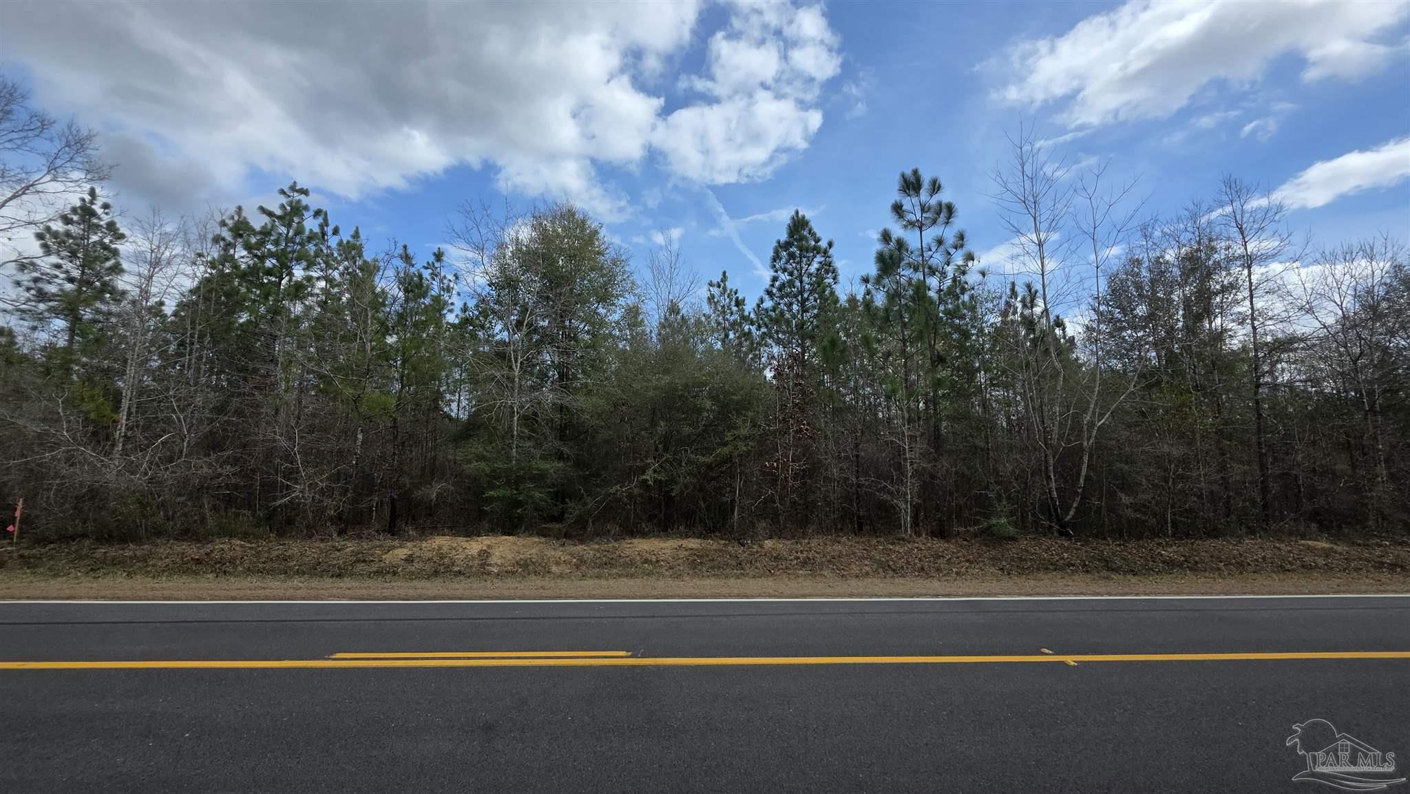 Lot 5 Walling Road Milton, FL 32570 - Photo 6 of 8