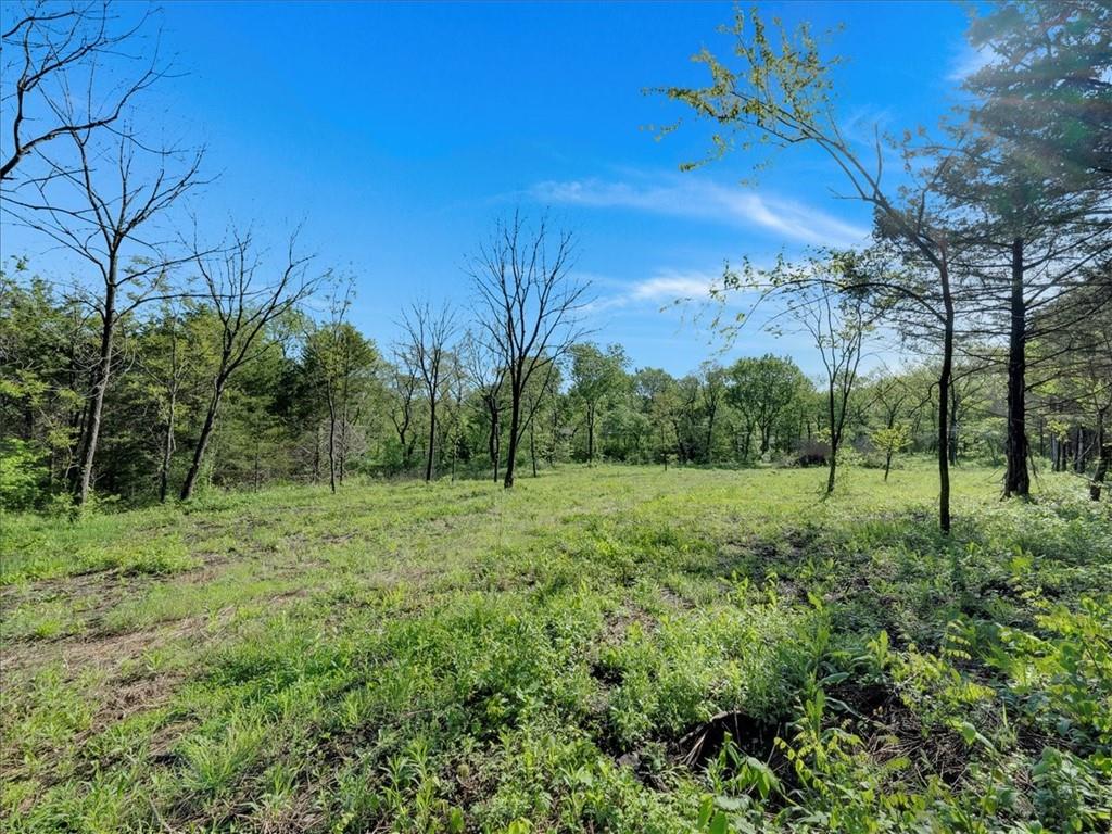 12975 South Frontier Road Olathe, KS 66061 - Photo 4 of 9