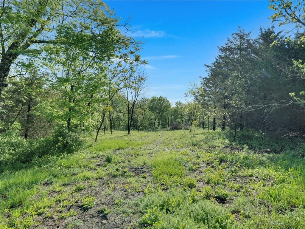 12975 South Frontier Road Olathe, KS 66061 - Photo 5 of 9