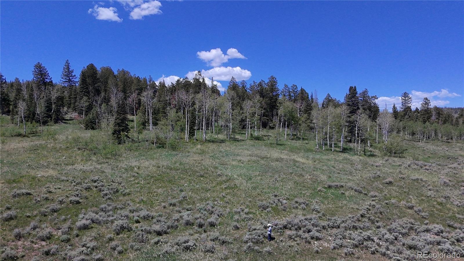 Spring Creek Ranch Road Silverthorne, CO 80498 - Photo 22 of 38