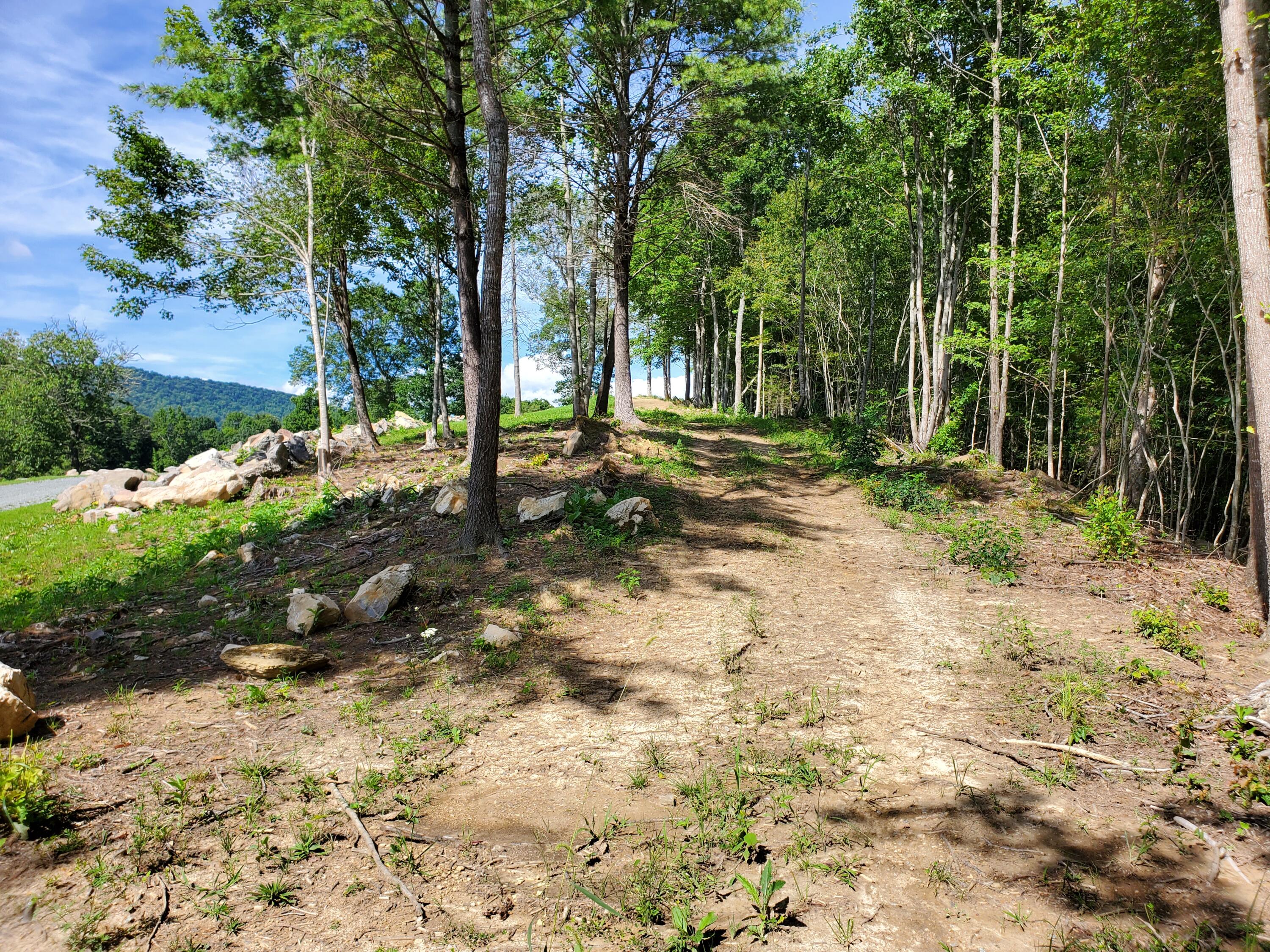 Lot 11 Draft Road, Unit 11 Butler, TN 37640 - Photo 11 of 14 20230813_160316