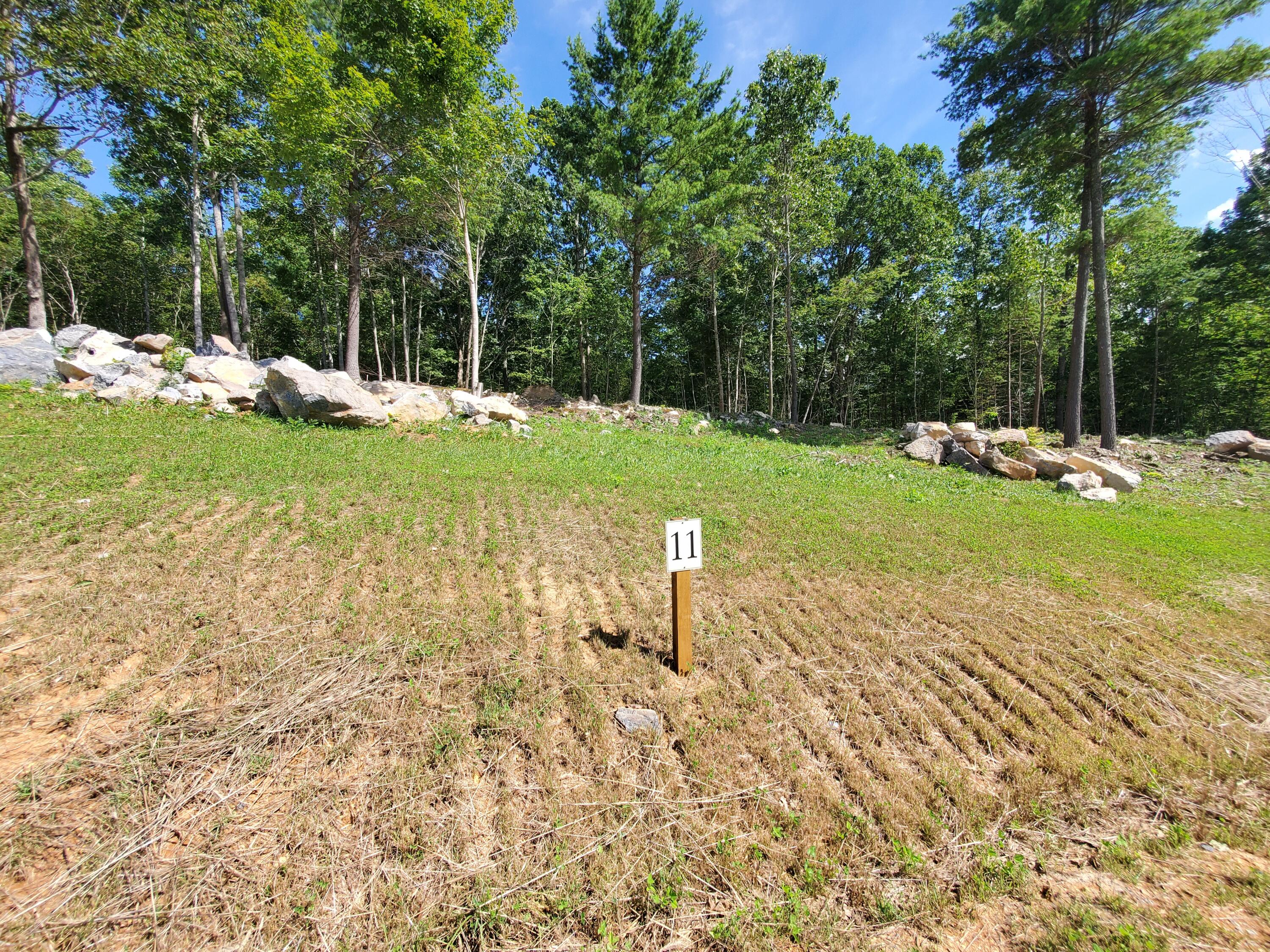 Lot 11 Draft Road, Unit 11 Butler, TN 37640 - Photo 12 of 14 20230813_160055