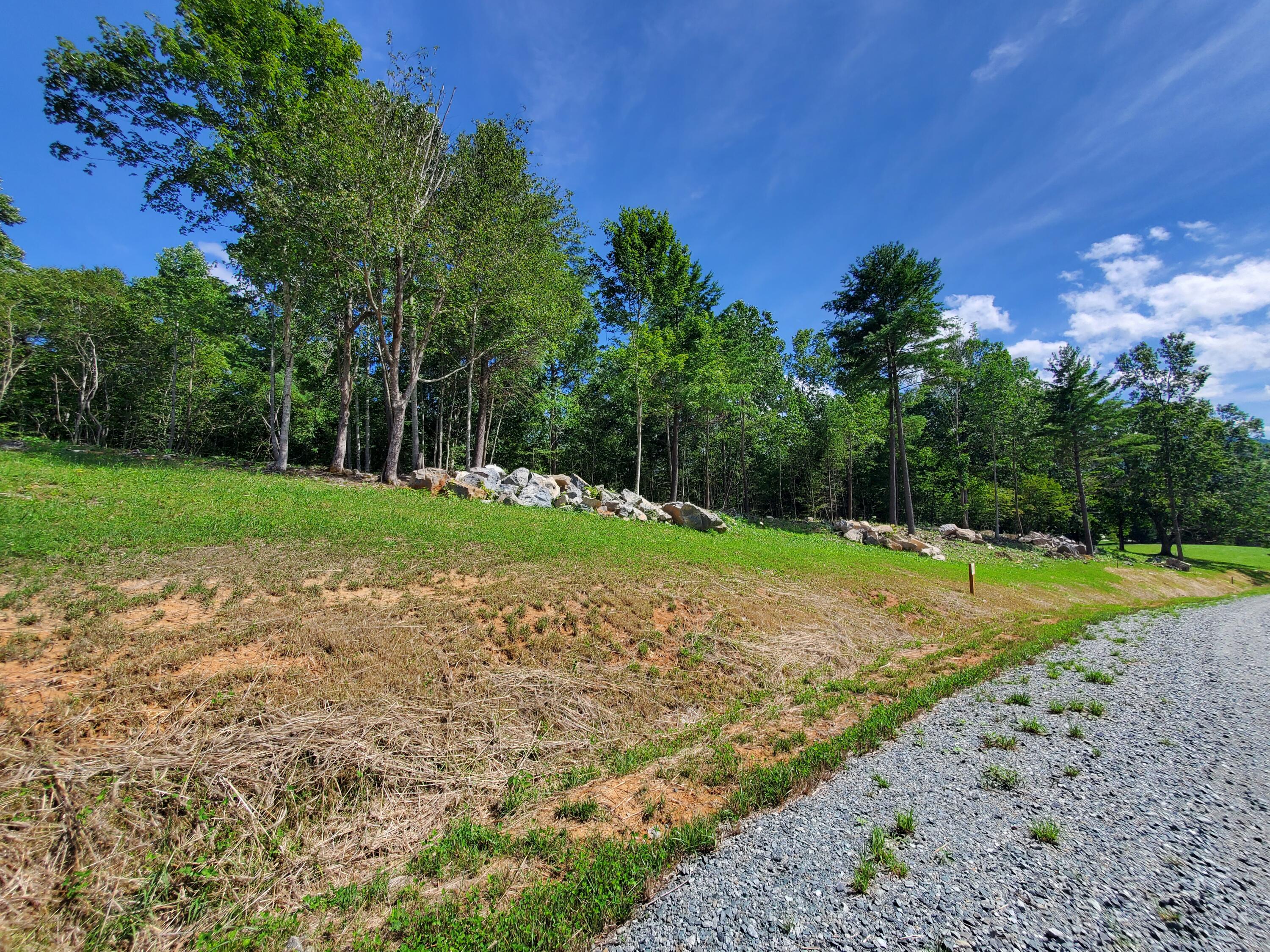 Lot 11 Draft Road, Unit 11 Butler, TN 37640 - Photo 14 of 14 20230813_160030