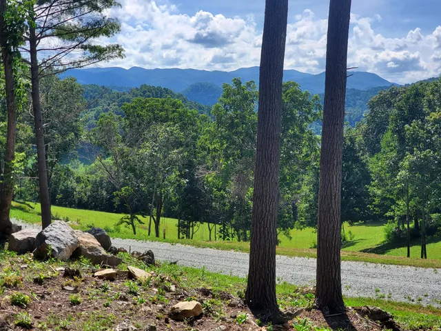 $167,000 | Lot 11 Draft Road, Unit 11, Butler, TN 37640