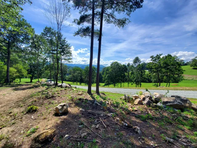 $167,000 | Lot 11 Draft Road, Unit 11, Butler, TN 37640