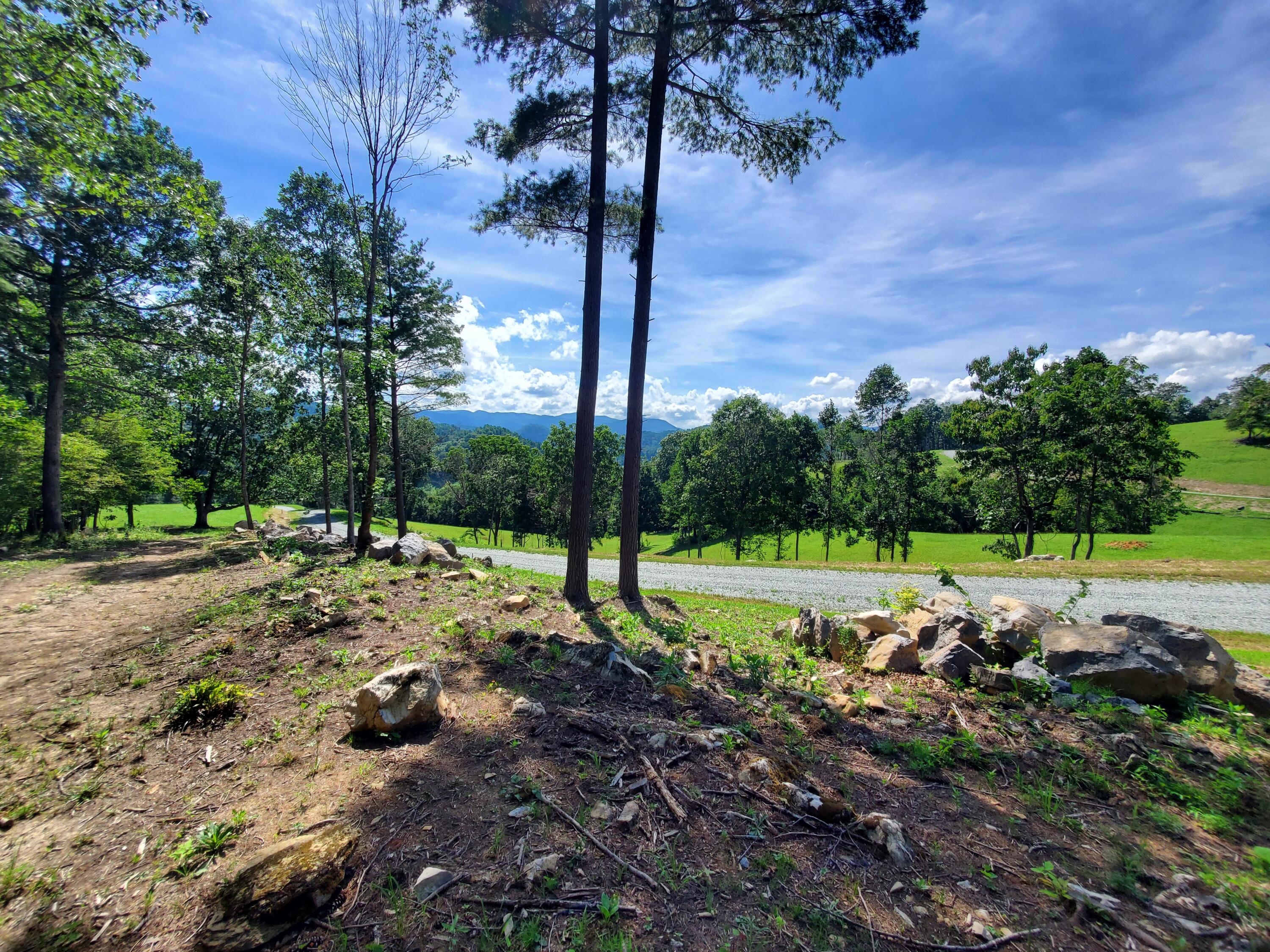 Lot 11 Draft Road, Unit 11 Butler, TN 37640 - Photo 4 of 14 20230813_160143