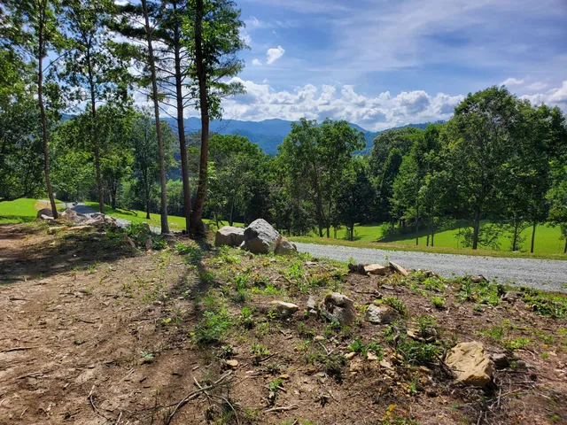 $167,000 | Lot 11 Draft Road, Unit 11, Butler, TN 37640