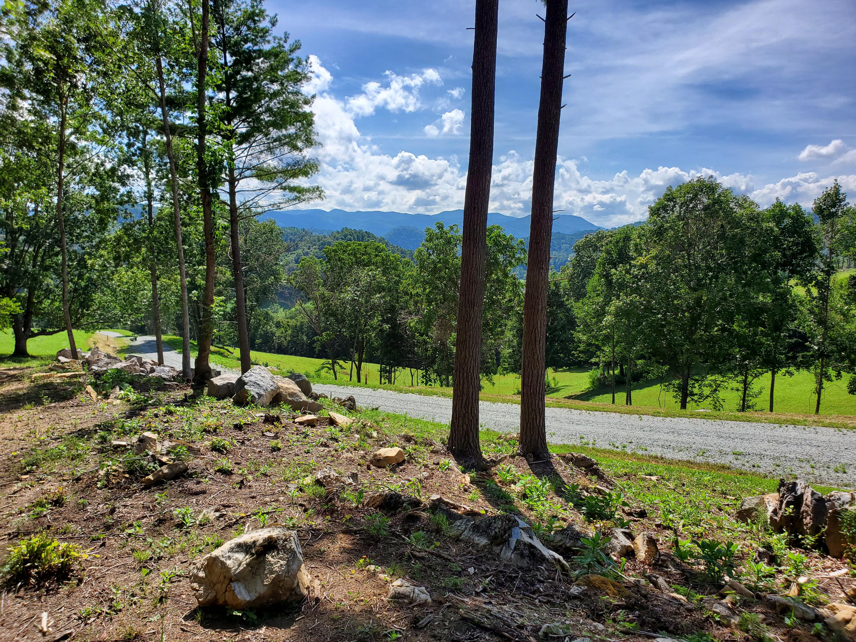 Lot 11 Draft Road, Unit 11 Butler, TN 37640 - Photo 6 of 14 20230813_160203