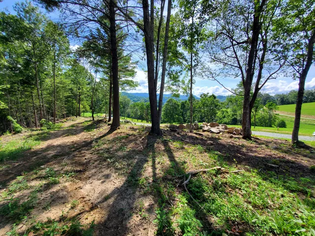 $167,000 | Lot 11 Draft Road, Unit 11, Butler, TN 37640