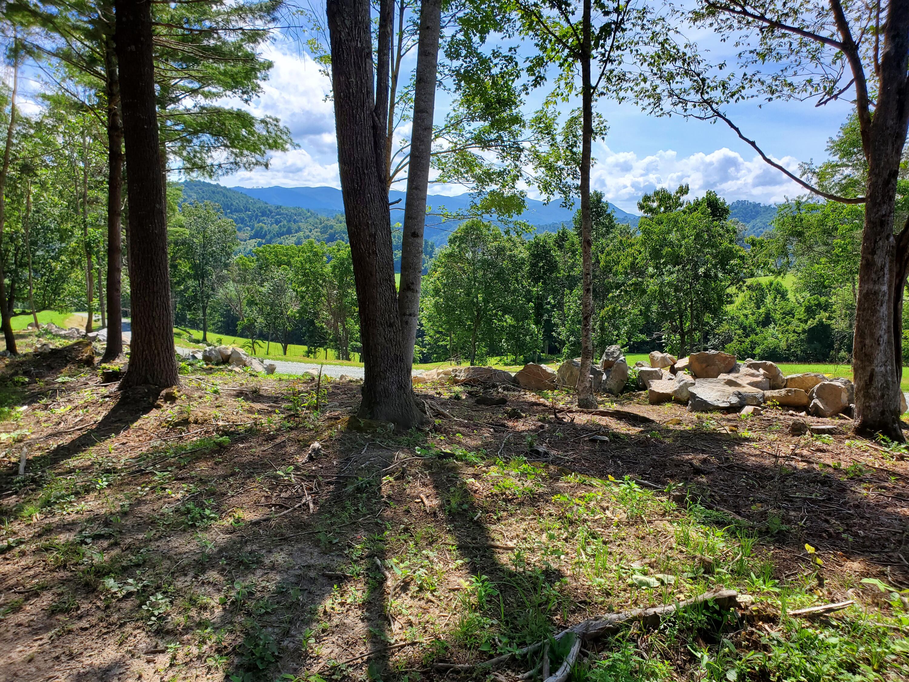 Lot 11 Draft Road, Unit 11 Butler, TN 37640 - Photo 10 of 14 20230813_160411