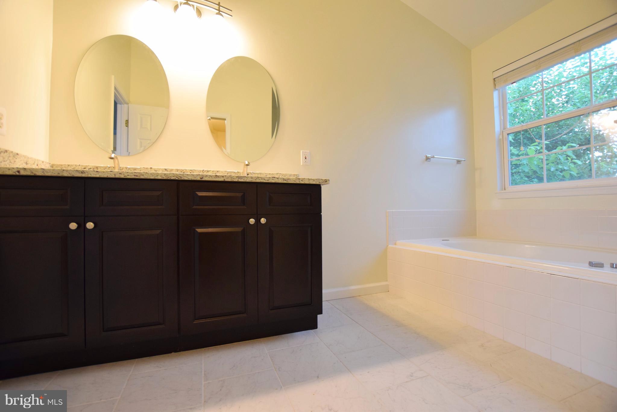 35 Linden Hill Way Southwest Leesburg, VA 20175 - Photo 17 of 26 Bath (Master)