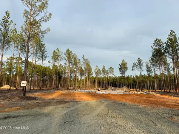 $549,000 | Tbd Doubs Chapel Road, Unit LOT 3, Carthage, NC 28327