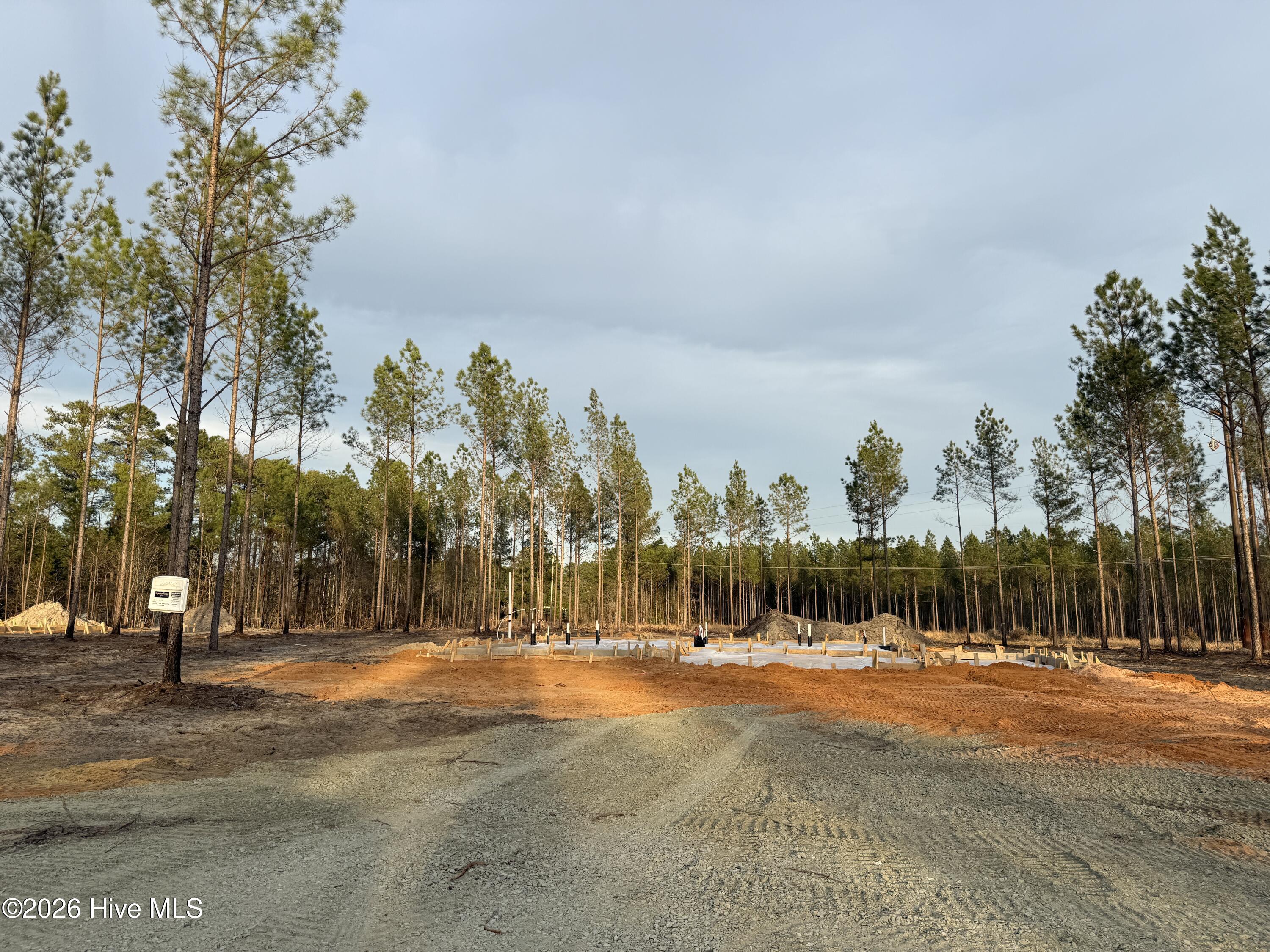 Tbd Doubs Chapel Road, Unit LOT 3 Carthage, NC 28327 - Photo 7 of 8 lot under construction