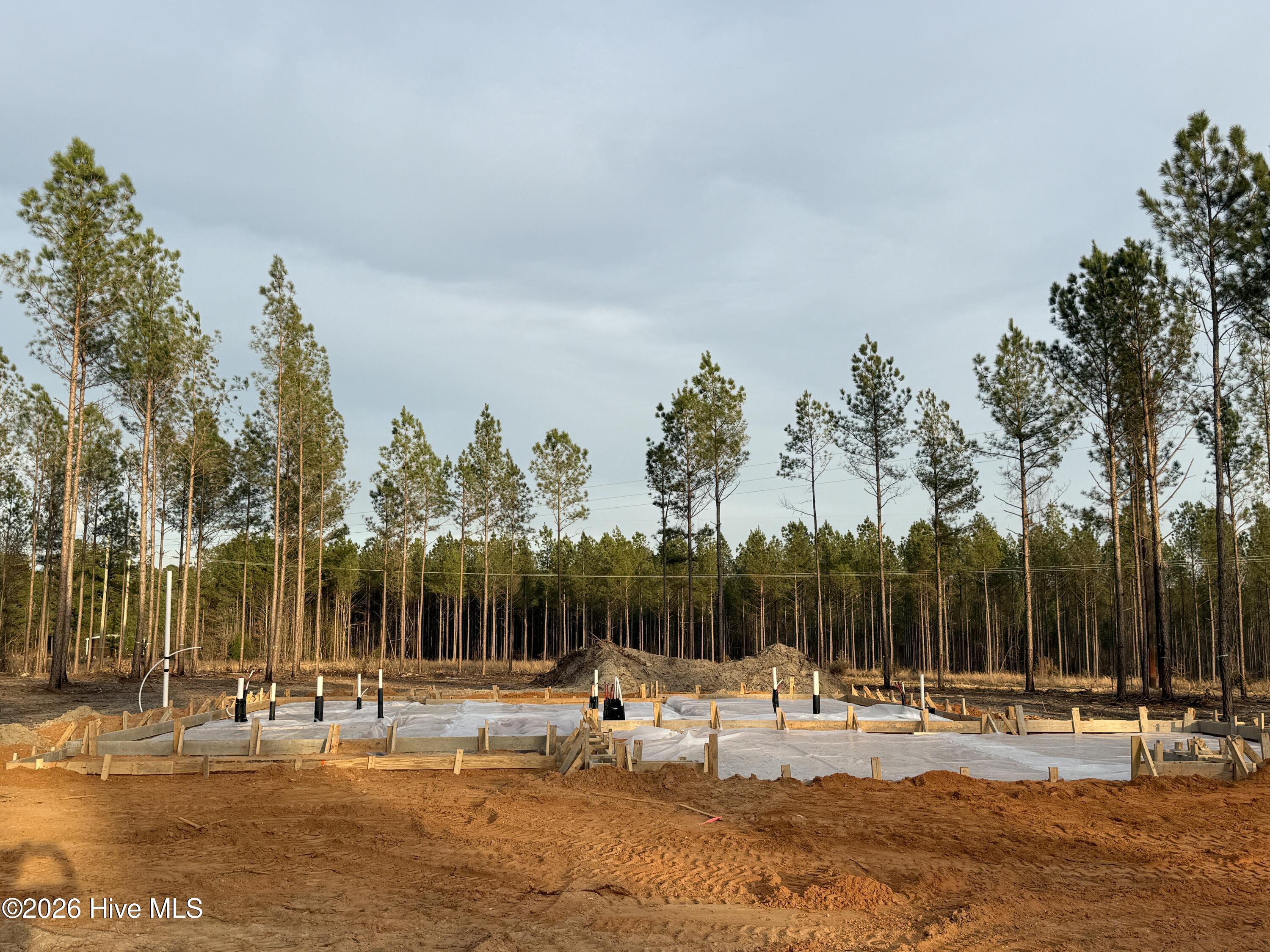 Tbd Doubs Chapel Road, Unit LOT 3 Carthage, NC 28327 - Photo 8 of 8 lot under construction