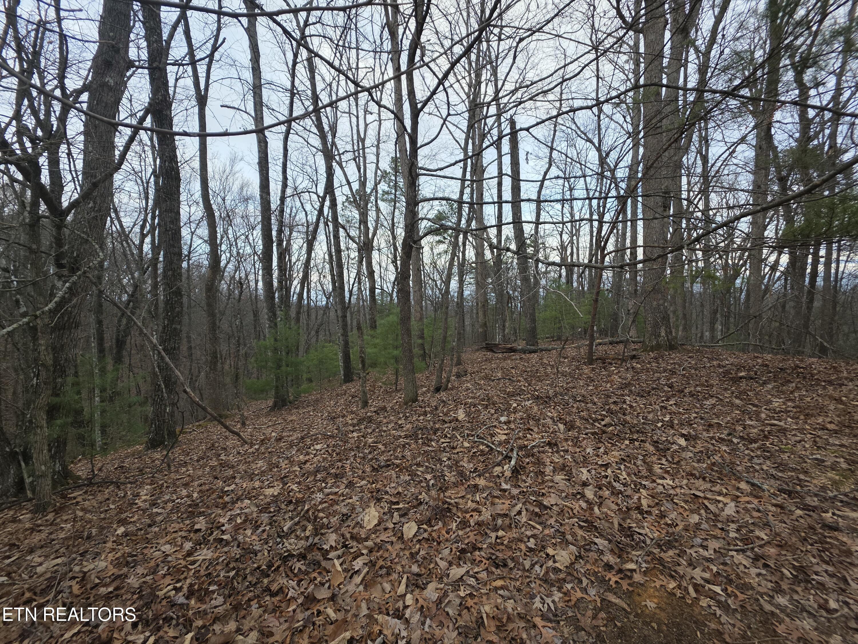 Lot 4 Deer Ridge Lane Sevierville, TN 37876 - Photo 6 of 17 20260114_082258