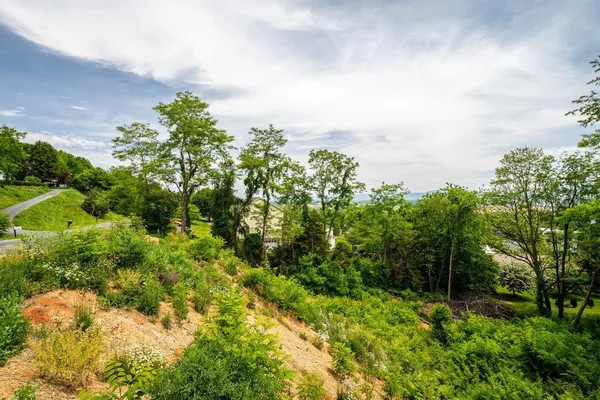 a backyard of a house with lots of green space and trees all around