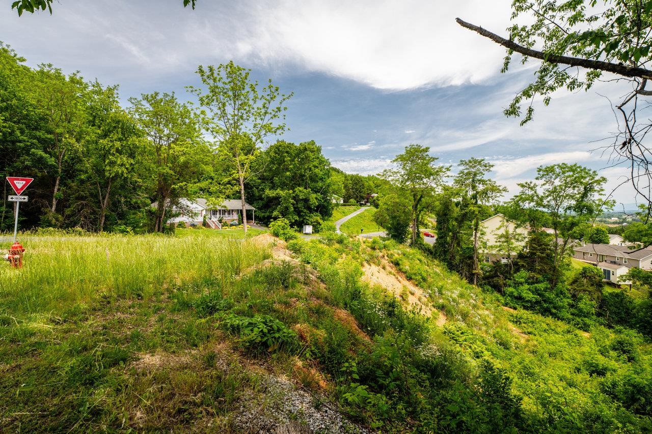 Valley View Dr Mount Mount Sidney, VA 24467 - Photo 13 of 21