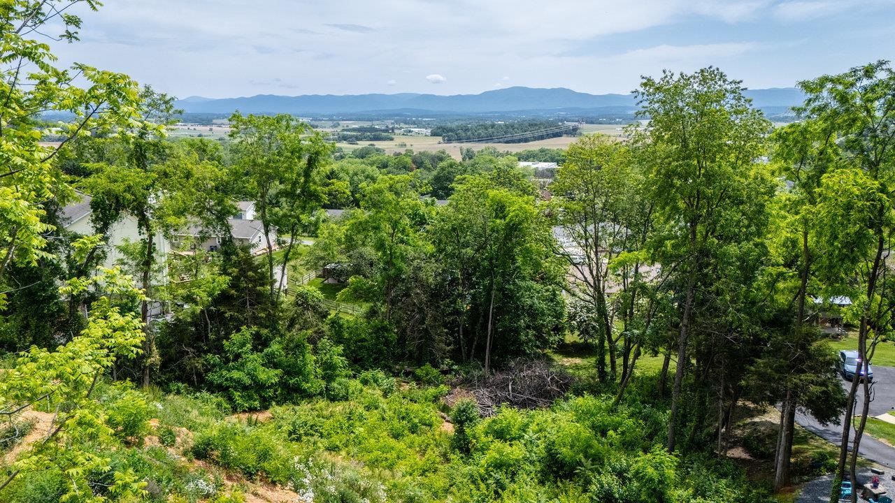 Valley View Dr Mount Mount Sidney, VA 24467 - Photo 14 of 21 a view of a lush green forest with lots of trees