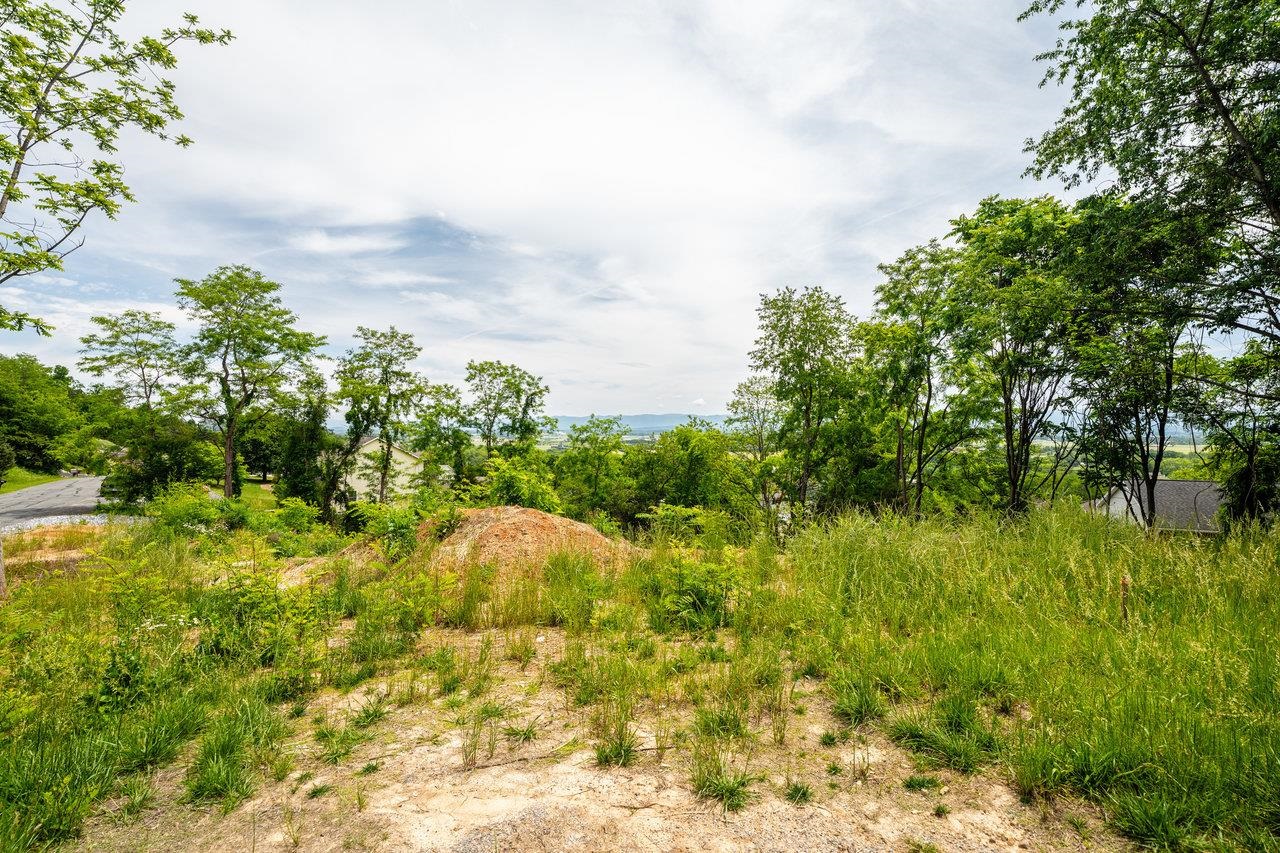 Valley View Dr Mount Mount Sidney, VA 24467 - Photo 3 of 21 a view of a yard with plants and large trees