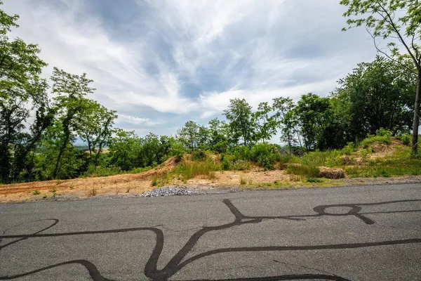 a view of a road from a yard