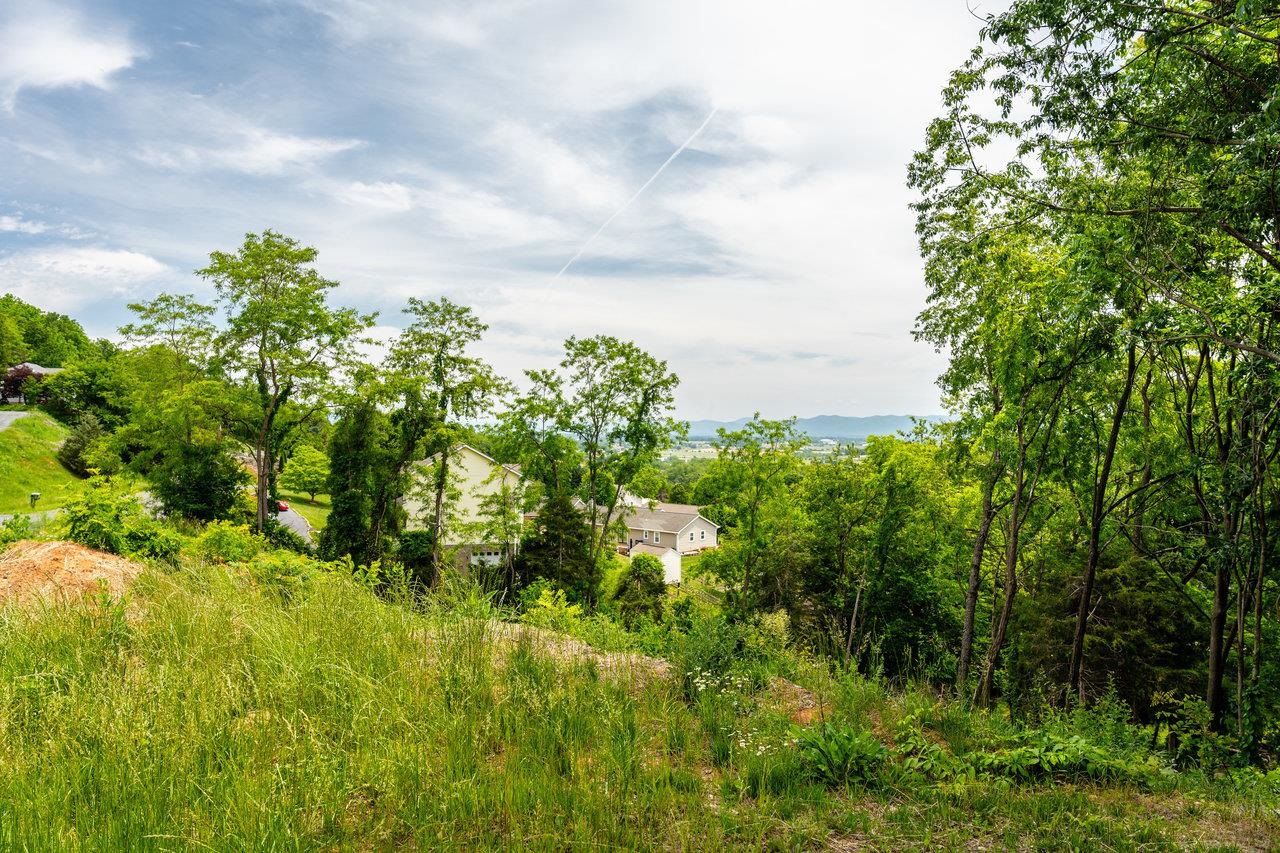 Valley View Dr Mount Mount Sidney, VA 24467 - Photo 8 of 21 a backyard of a house with lots of trees