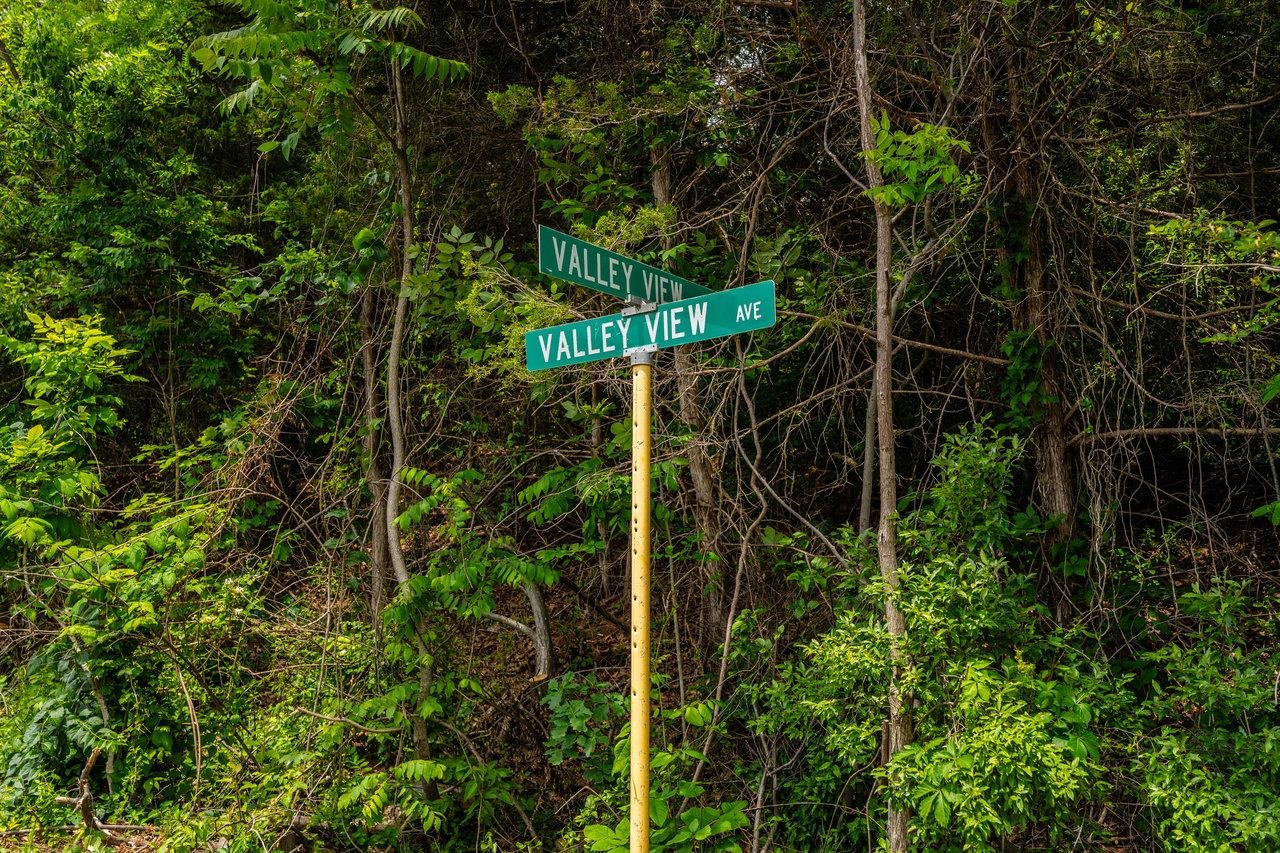 Valley View Dr Mount Mount Sidney, VA 24467 - Photo 9 of 21 a view of tree