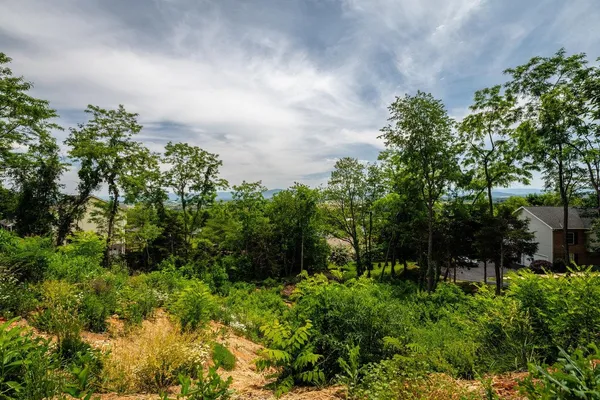 a view of a garden