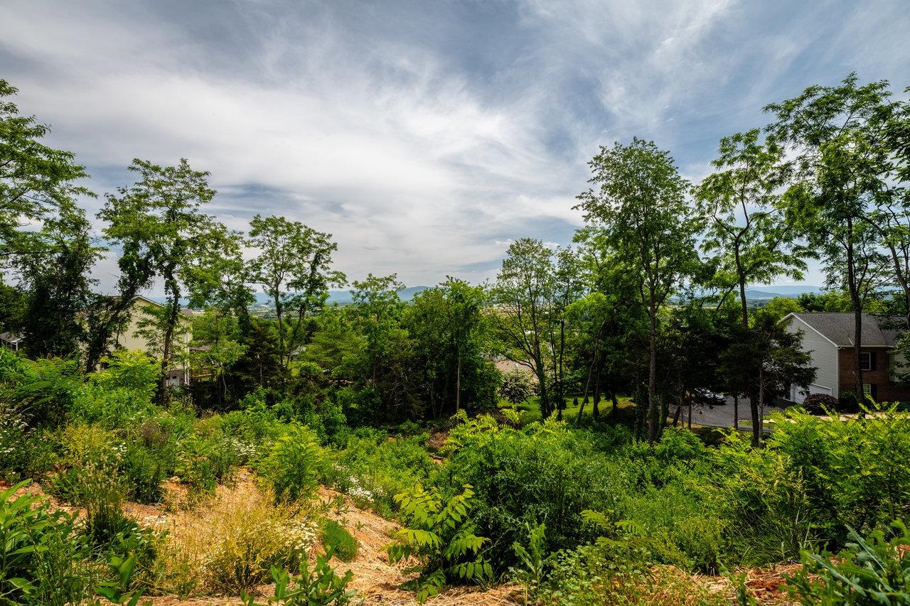Valley View Dr Mount Mount Sidney, VA 24467 - Photo 10 of 21 a view of a garden