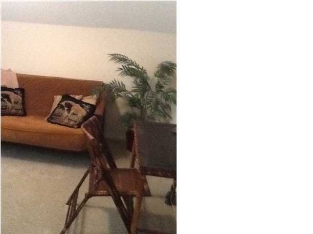 4270 Calinda Lane, Unit 357 Niceville, FL 32578 - Photo 11 of 17 a living room with furniture and a potted plant