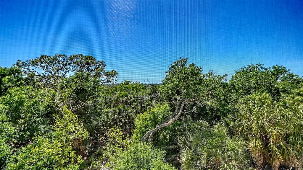 409 North Point Road, Unit 401 Osprey, FL 34229 - Photo 13 of 90