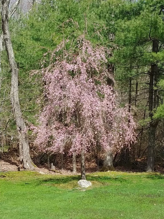 4 Darrell Drive North Reading, MA 01864 - Photo 36 of 41