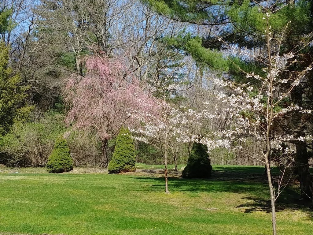 4 Darrell Drive North Reading, MA 01864 - Photo 38 of 41 a view of a chairs in a yard