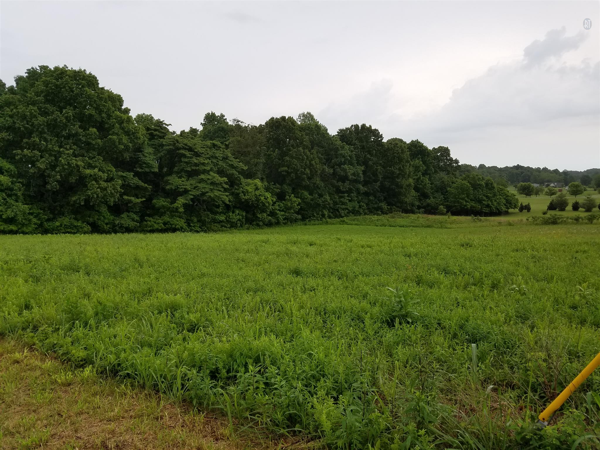 14 Minnis Road Springfield, TN 37172 - Photo 1 of 7 a view of a grassy field with trees