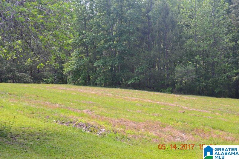 2257 County Road 55 Clanton, AL 35046 - Photo 19 of 35