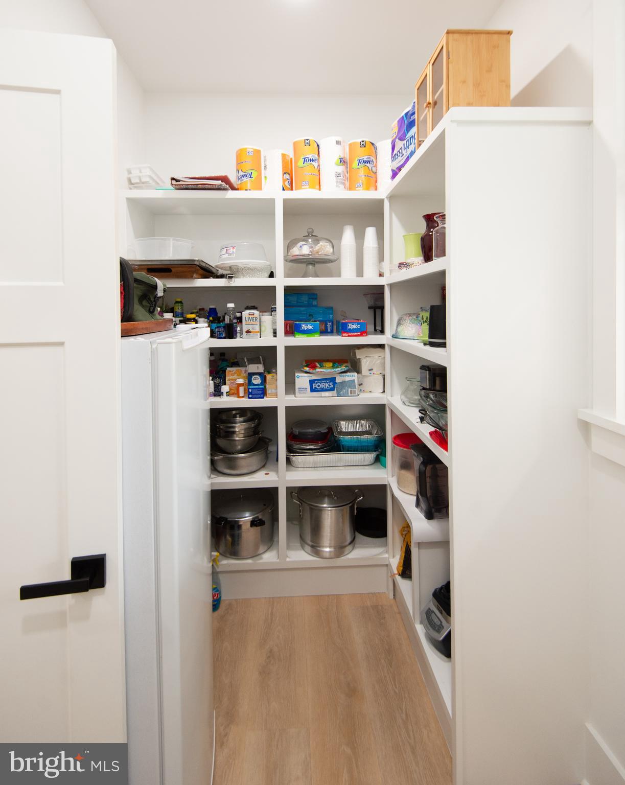 9509 Rum Ridge Road Delmar, MD 21875 - Photo 17 of 76 Walk-in Pantry