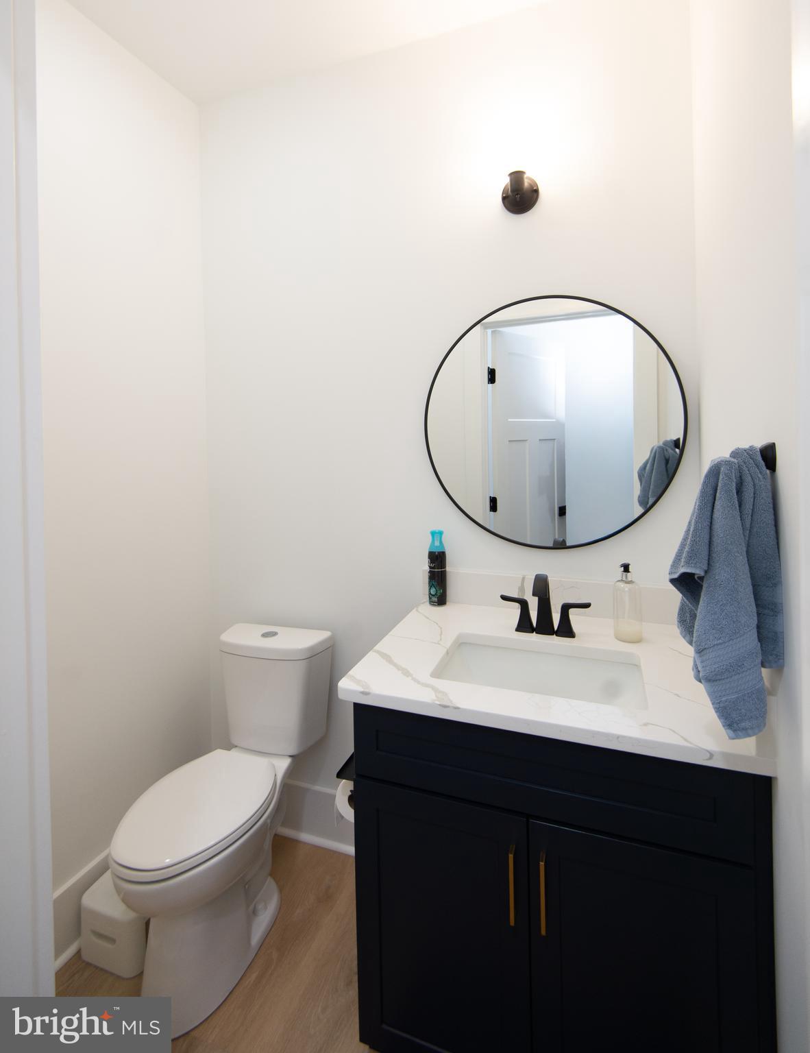 9509 Rum Ridge Road Delmar, MD 21875 - Photo 40 of 76 a bathroom with a toilet a sink and mirror