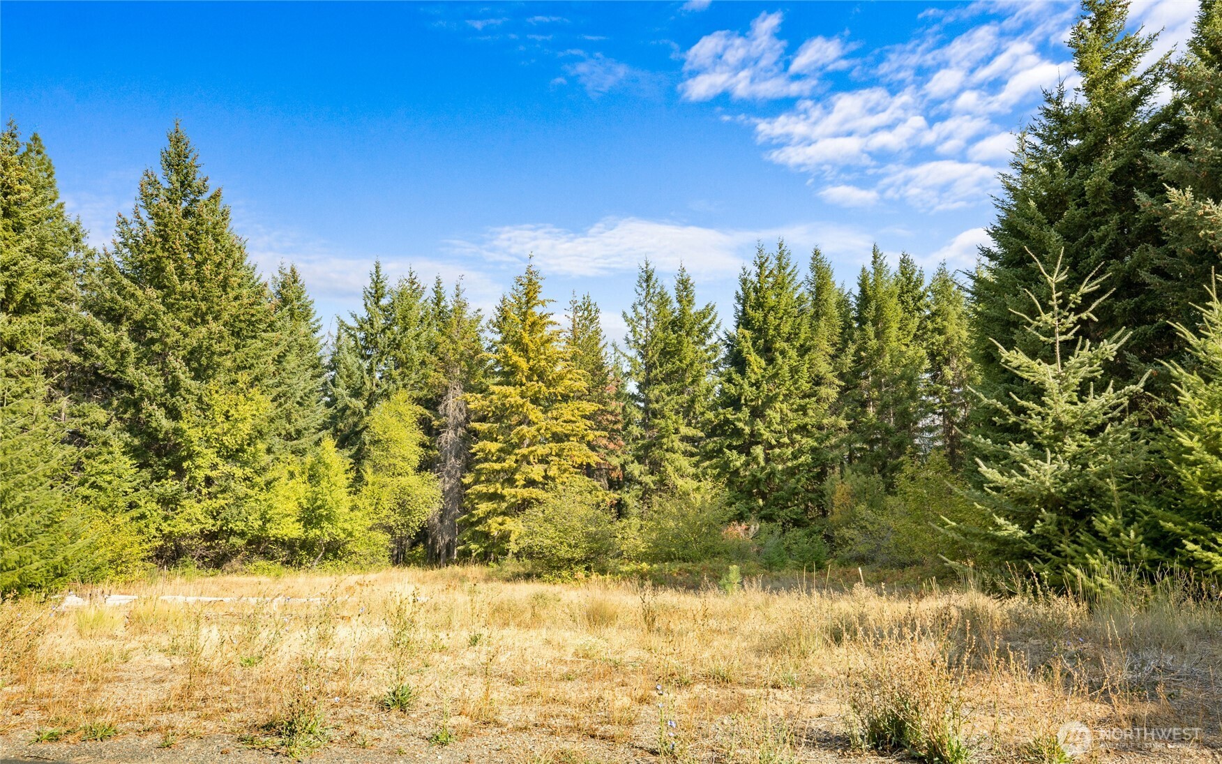 a view of lake with green space