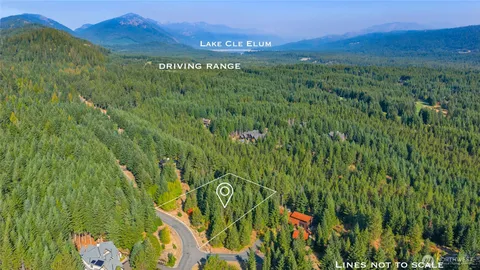 a view of a lush green forest with a mountain