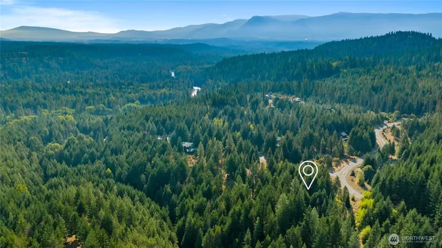 a view of a lush green forest with trees in the background