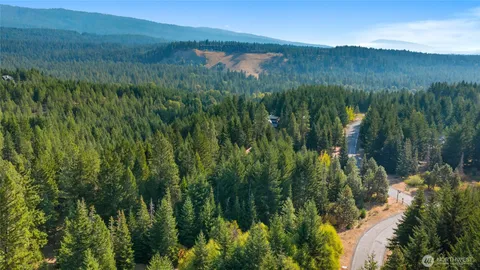 a view of a lush green forest with a lake and trees