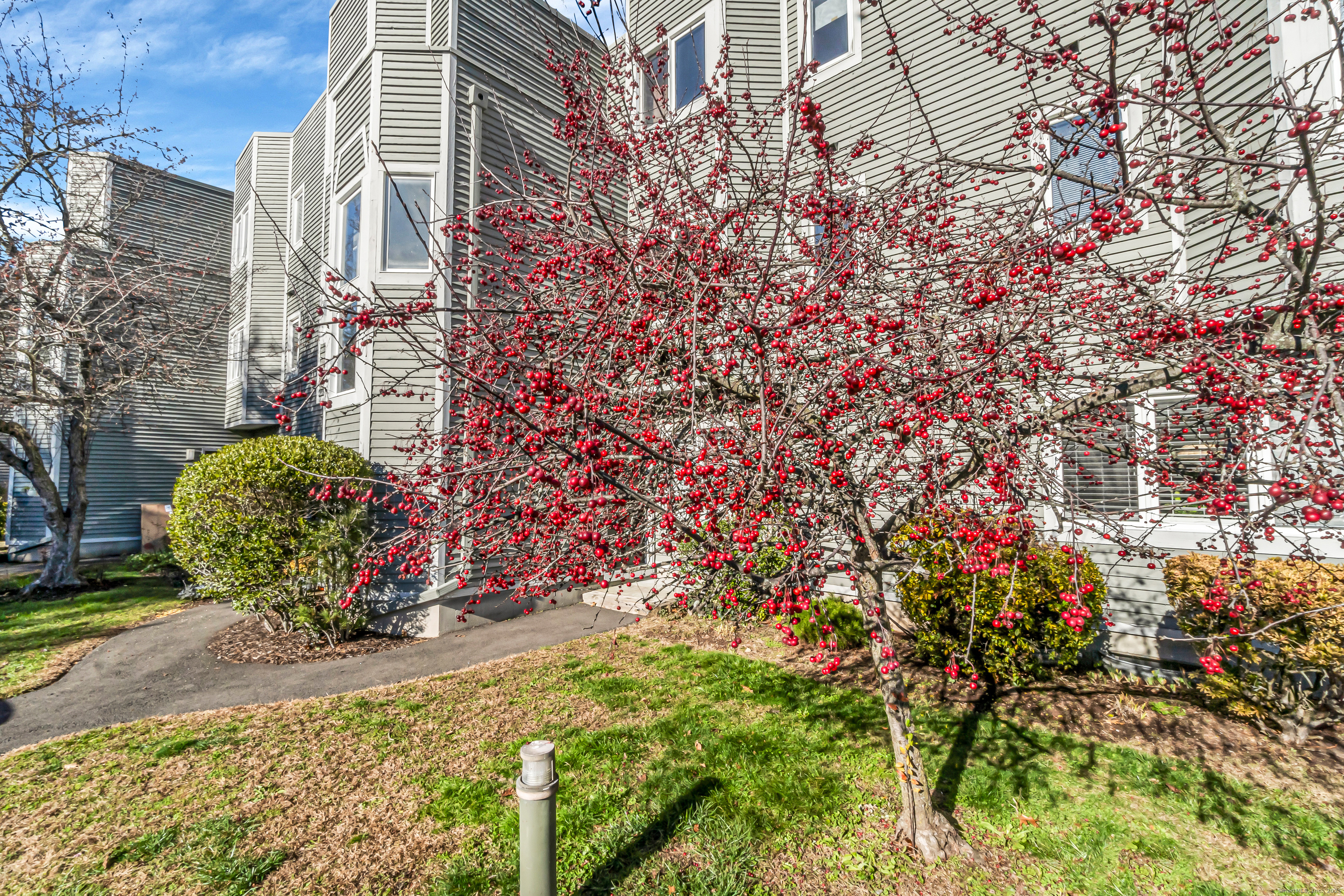 a view of a bunch of flowers