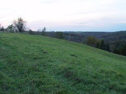 0 Haley Ridge Road Brooksville, KY 41004 - Photo 1 of 1 Gallery Image 1