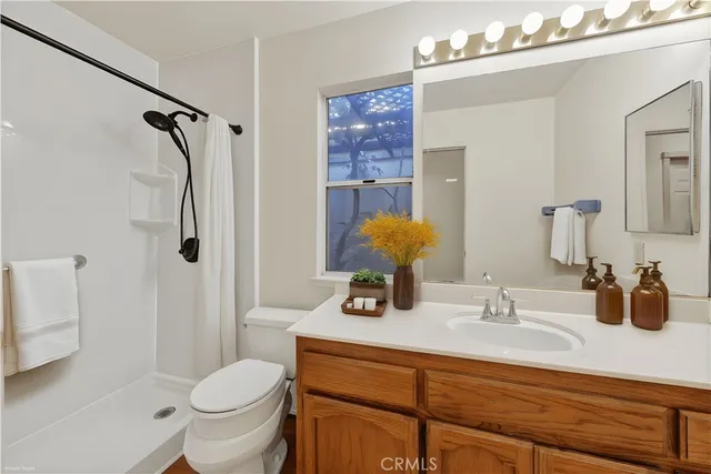 a plant is in front of a glass door