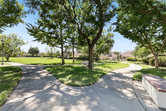 a view of a park with tree s